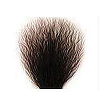 Hair Implantation