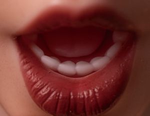 Silicone Oral Basic Version