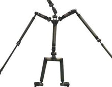 EVO Skeleton