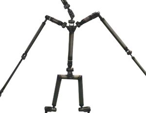 Yoga Skeleton